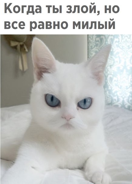 Когда ты злой но все равно милый