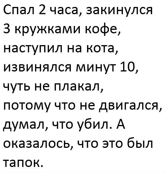 Спал 2 часа закинулся 3 кружками кофе наступил на кота извинялся минут 10 чуть не плакал потому что не двигался думал что убил А оказалось что это был тапок