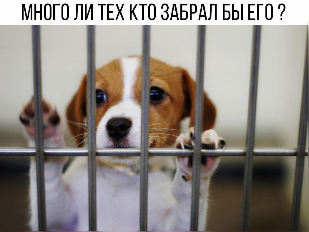 МНОГО ЛИ ТЕХ КТО ЗАБРАЛ БЫ ЕГО