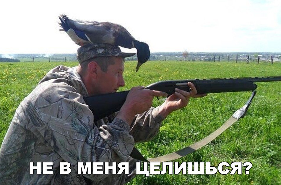 НЕ в мвняцЁлишь