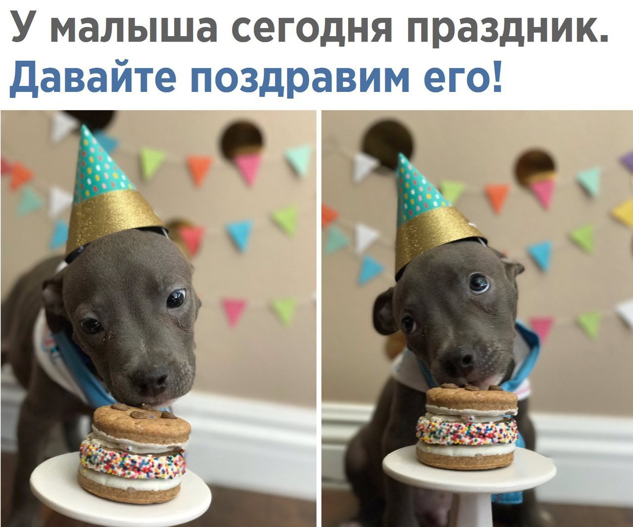 У малыша сегодня праздник