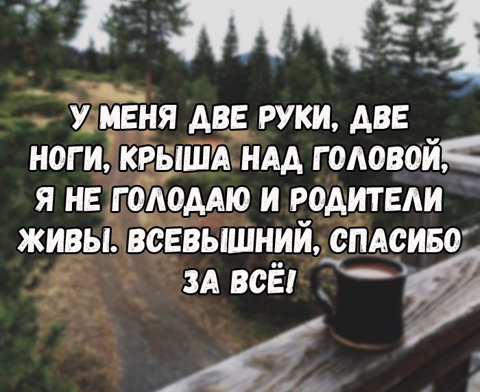 У меня двп руки двь ноги крыши ндд головой Я не гадоддю и родители живы всевышний спдсиво зд всЁ 7 2