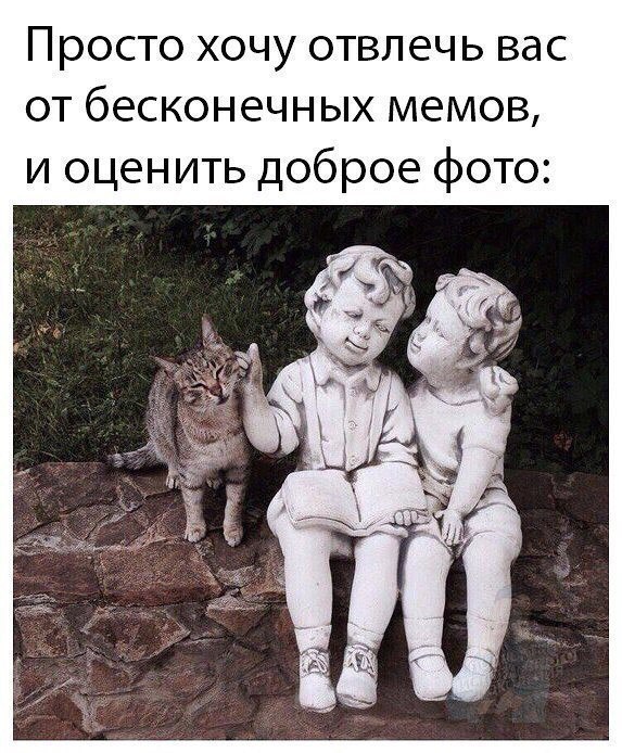 Просто хочу отвлечь вас от бесконечных мемов и оценить доброе фото