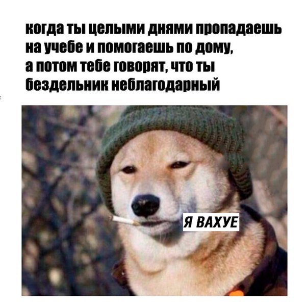 Мда ты целыми днями ПШШВДПЕШЪ на 858 И ППМПШЕШЬ Ш дому 8 шт 258 ППШ что ты Бездвпьиии иебпаюдапиый