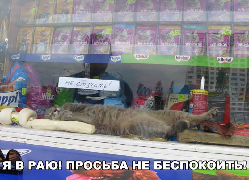 МШ