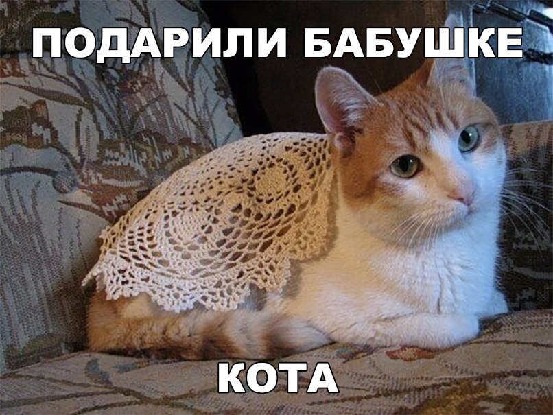 БАвушк ПОДАРЛИПИ