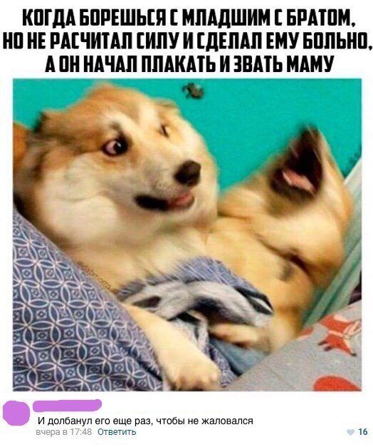 КПГдА БПРЕШЬШ МПАДШИМ БРАШМ НП НЕ РАЕЧИТАП ИПУ И ЦЕНЫ ЕМУ БПЛЬНП А П НАЧАЛ ПЛАКАТЬ И ЗНАТЬ МАМУ и долбаиуп ет еще раз чтбы не жаловался стащить ш