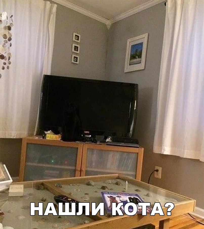 351 НАШЛИ ржд