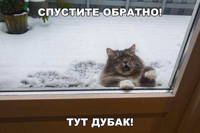 ТУТ дУБАК