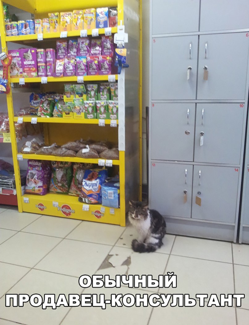 НПЁПЁПЁЁ ЬЁШЮЁ