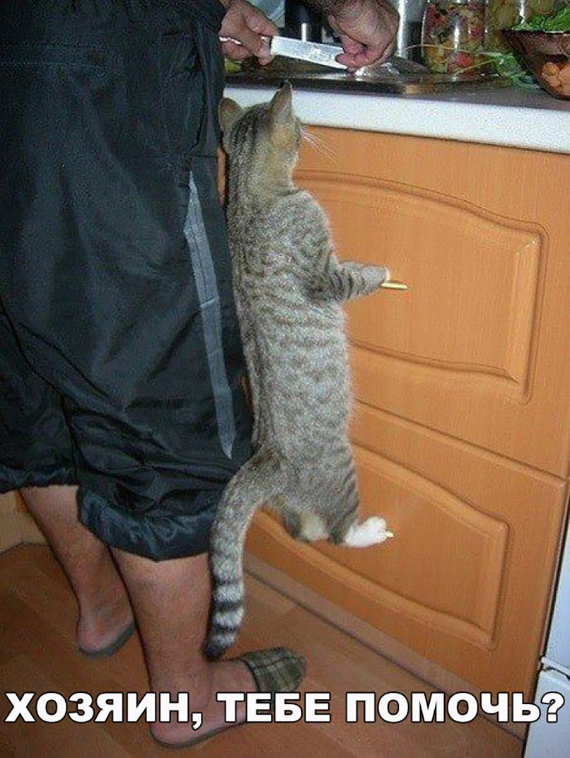 ТЕБЕ ПОМОЧЬЁ ХОЗЯИН