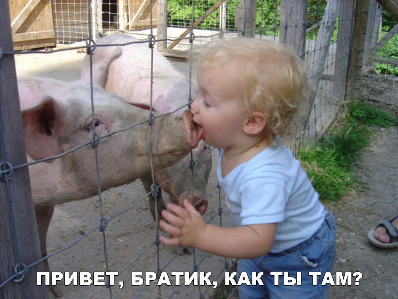 Жди ітАмг ПРИВЕТ БРАТИК КАК ТЬ