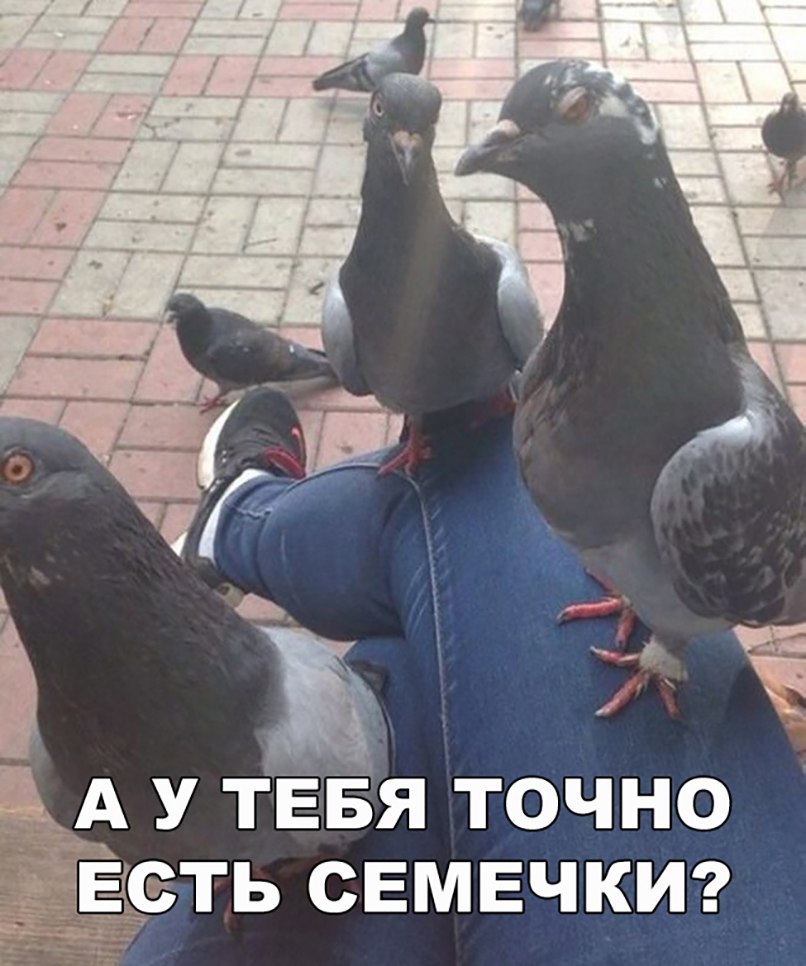 ЁЁА У тЁЁя точно ЕБТЬ СЕМЕЧКИ