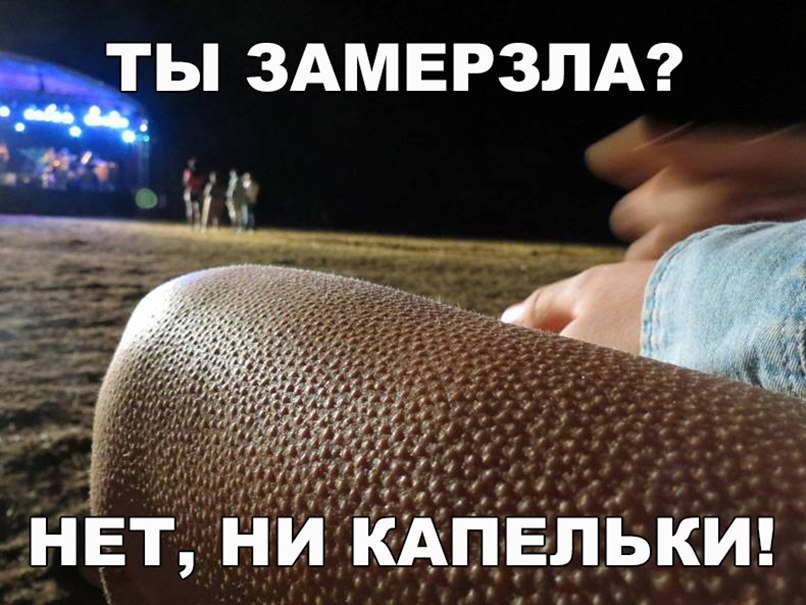 ТЫ ЗАМЕРЗЛА икдпвлькИ