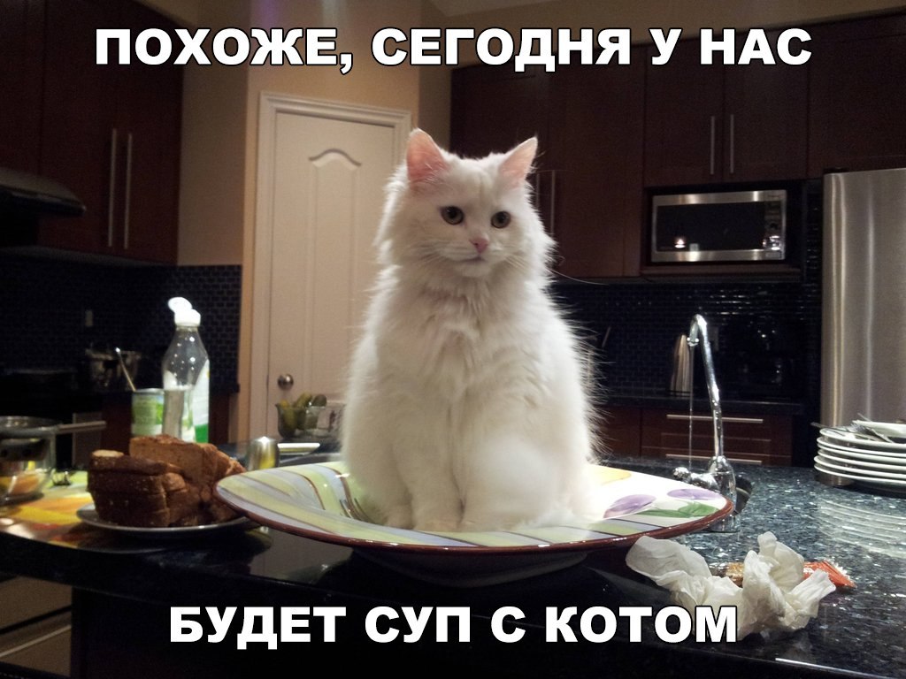 ПОХОЁКЕЁ СЕГОДНЯ У НАС _