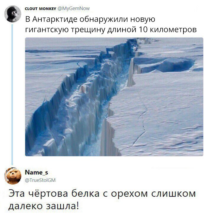 шип мубетМощ В Антарктиде обнаружили новую гигантскую трещину длиной 10 километров Мате Тгцеэююм Эта чёртова белка с орехом слишком далеко зашла