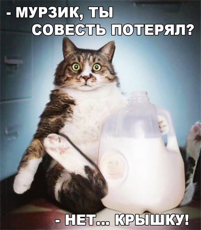 МУРЗИК ТЫ