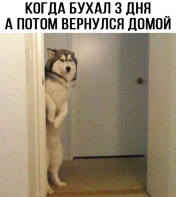 КОГДА БУХАЛ 3 Дня _ А потомвгыулся ДОМОИ