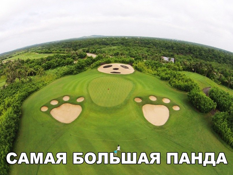 САМАЯ БОЛЁШАЯ ПАНДА