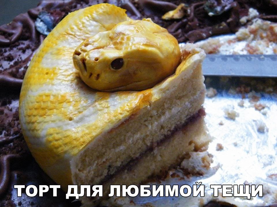 орт для ЛЮБИМЫЙ ЁЁЁЪШ