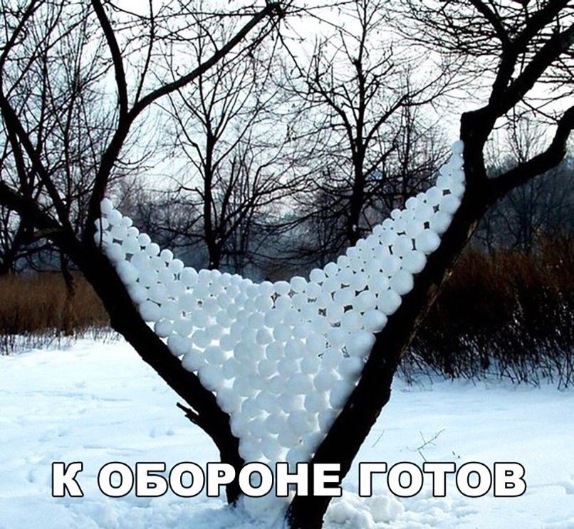 ане Кё