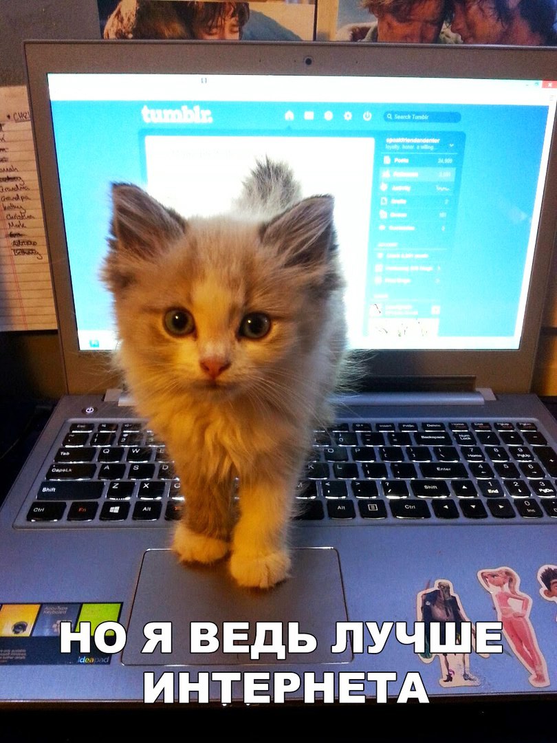 Ё я ВЕДЬ ПУЧЁЕЖ ИНТЕРНЕТА
