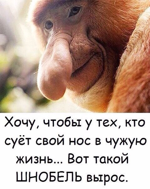 Хочу чтобы у тех кто суёт свой нос в чужую жизнь Вот такой ШНОБЕЛЬ вырос