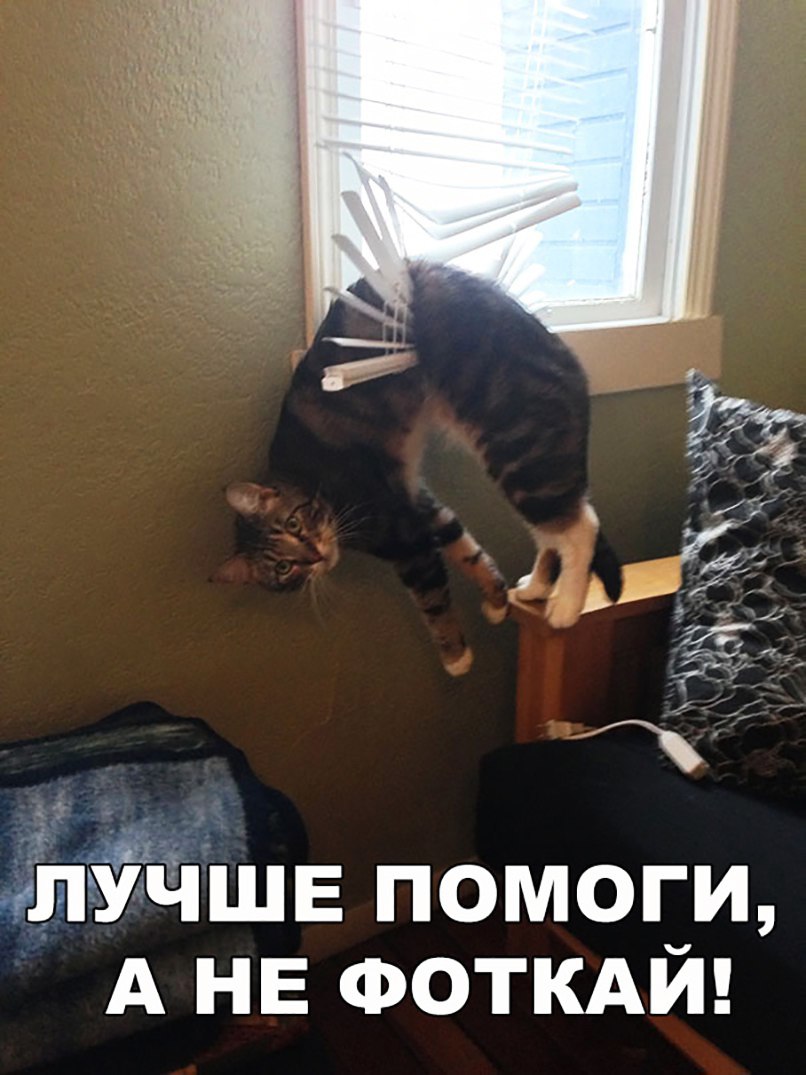 илёчшв помоги А НЕ ФОТКАЙ