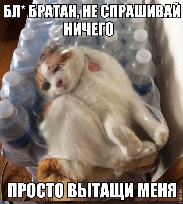 ь _ Ь_Р0ЁТЧЁ_ВЫТДЩИ мы
