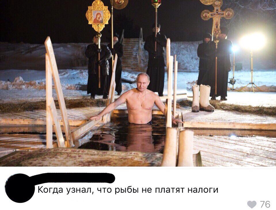 Когда узнал что рыбы не платят налоги