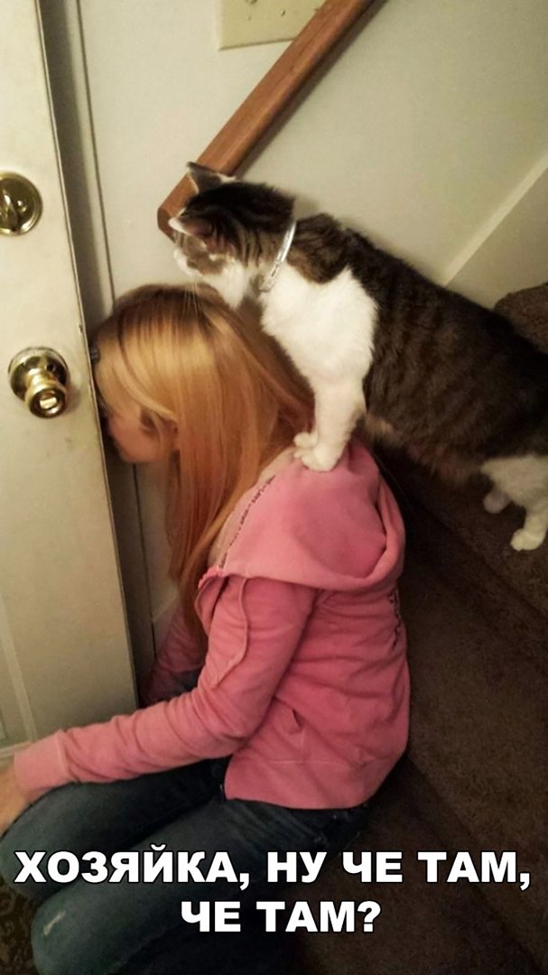 із хозяйкд ну ЧЕ ТАМ ЧЕ ТАМ