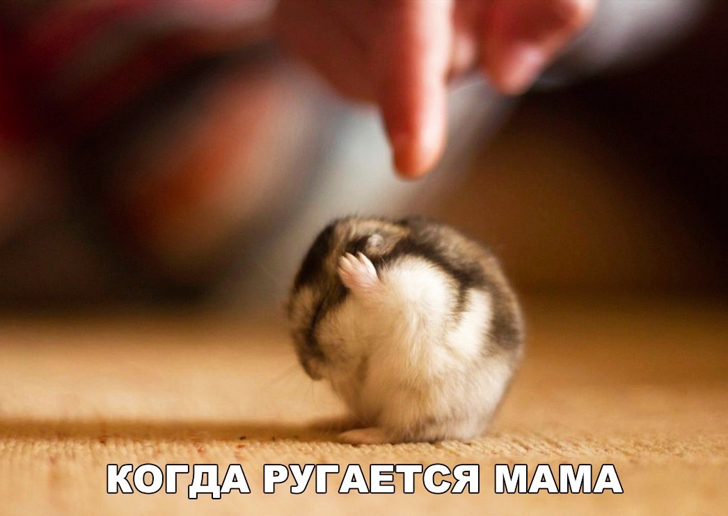 УЩЕЁЁЁЁ