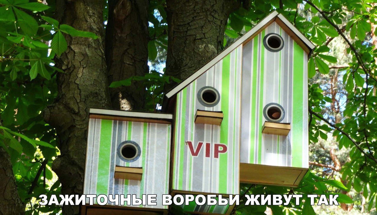 жёАжитэ и