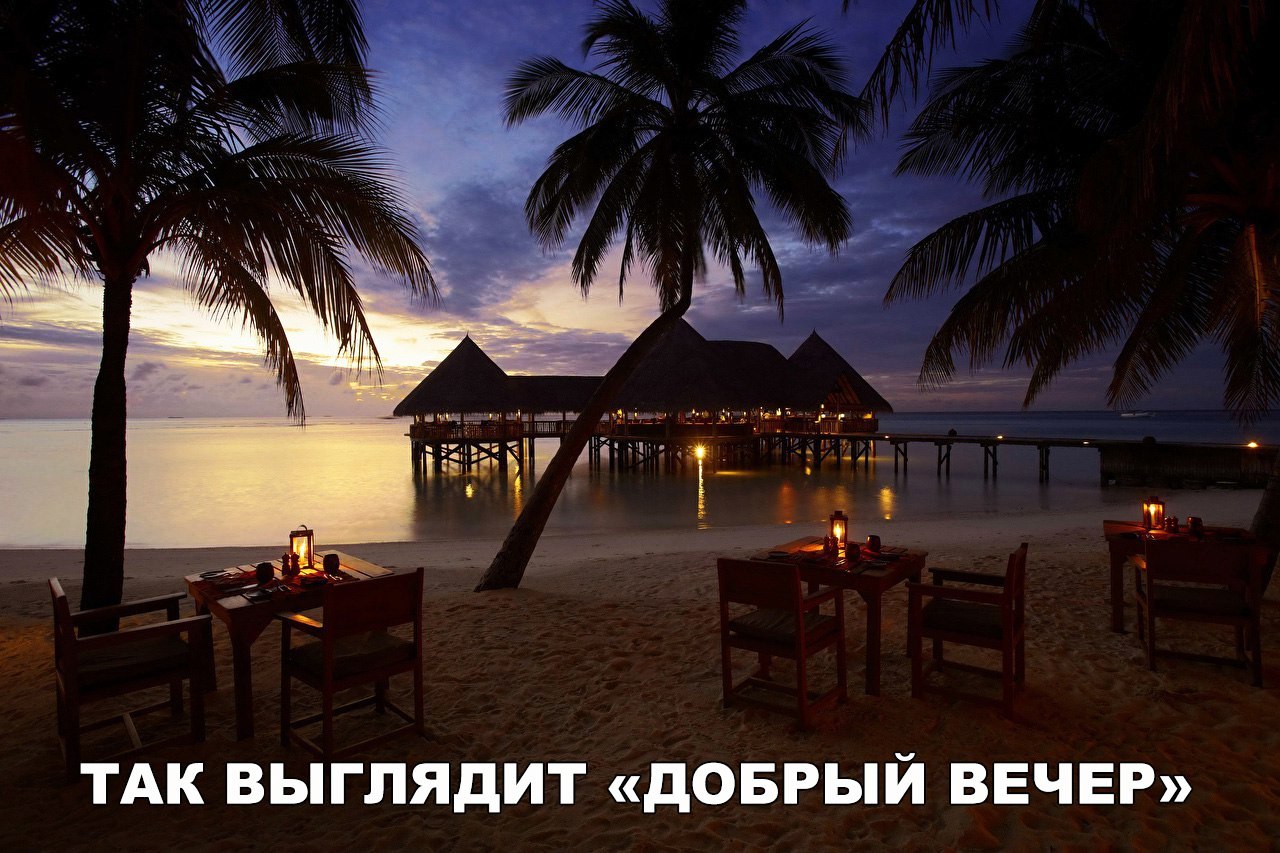 ТАК ВЫГЛЯДИТ дОБРЫЙ ВЕЧЕР