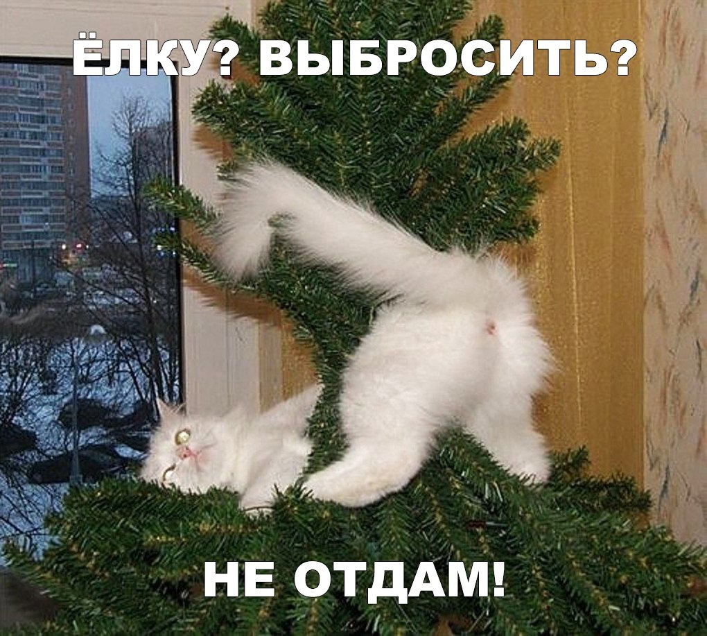 _ Вьгвгцситьгё