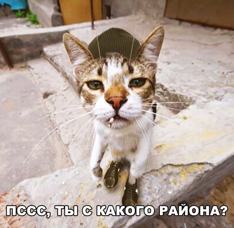 кого РАЙОНА _ кд