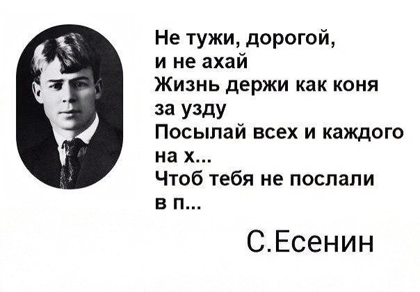 Не тужи дорогой и не ахай Жизнь держи как коня за У3дУ Посылай всех и каждого на х Чтоб тебя не послали в п СЕсенин