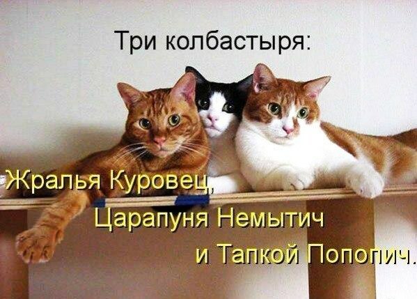 Три копбастыря