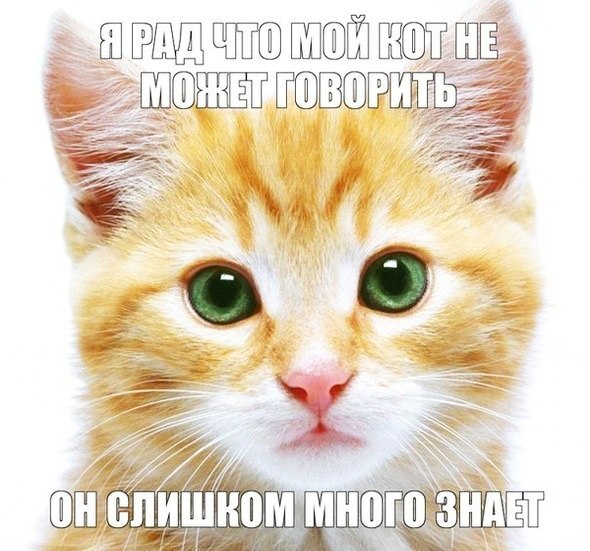 ЕРЦ ШЁ 3 ш швом