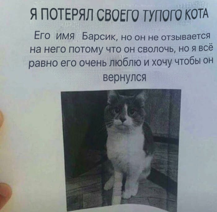Я ПОТЕРЯЛ СВОЕГО ТУПОГО КОТА ЕГО ИМЯ Барсик но он не отзывается на него потому что он сволочь но я всё равно его очень люблю и хочу чтобы он вернулся