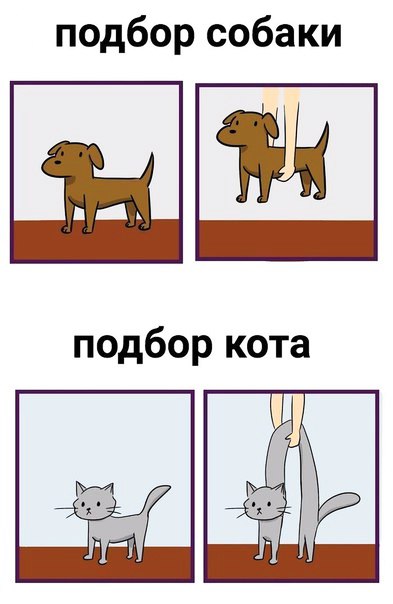 подбор собаки