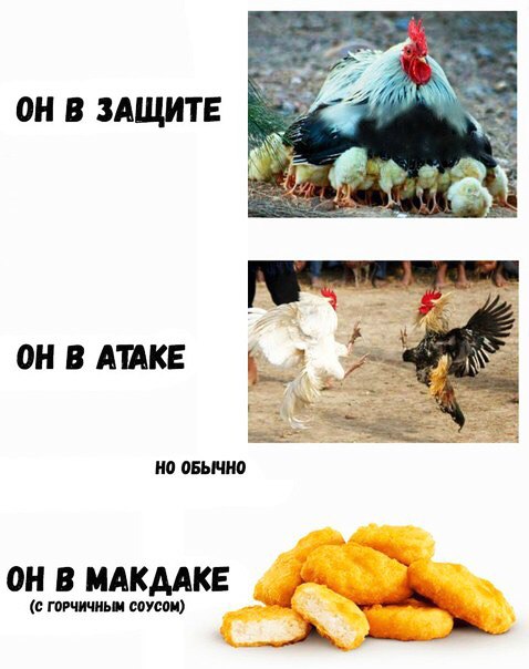 ОН В ЗАЩИТЕ ОН В АПК 0 ЦБЫШЦ ОН В МАКМКЕ с гнить шап о А