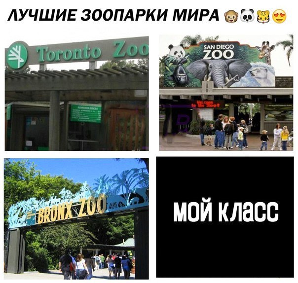 ЛУЧШИЕ ЗООПАРКИ МИРА д