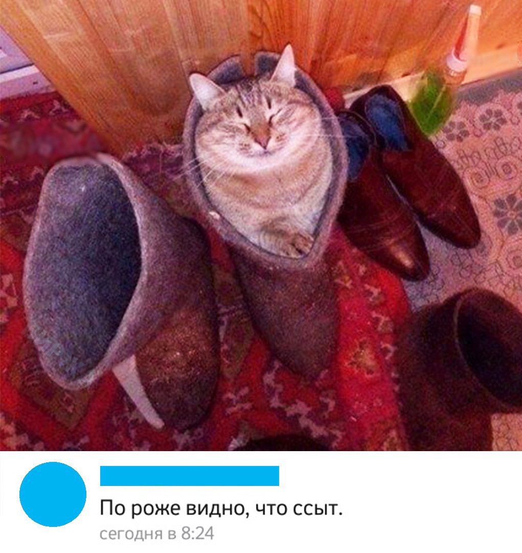 ПО роже ВИДНО ЧТО ССЫТ