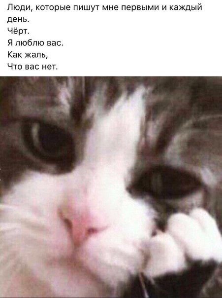 Люди которые пишут мне первыми и каждый день Чёрт Я люблю вас Как жаль Что вас нет