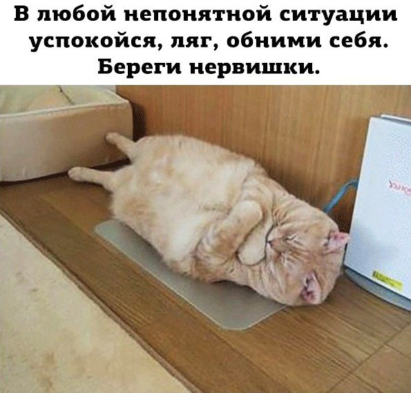 В любой непонятной ситуации успокойся пяг обними себя Береги нервишки