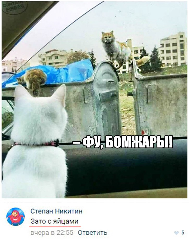 Степан Никитин Зато с яйцами Ответкъ 5