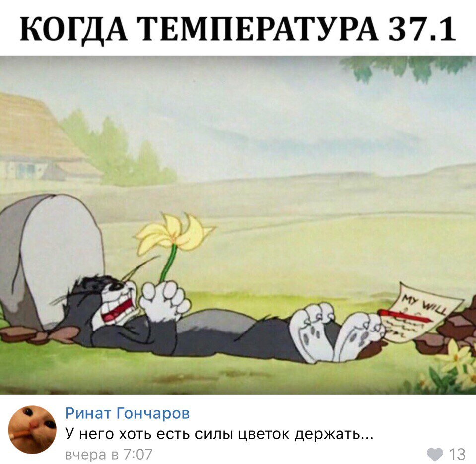 КОГДА ТЕМПЕРАТУРА 371 П Ринат Гончаров У него хоть есть силы цветок держать вчера в 707 13