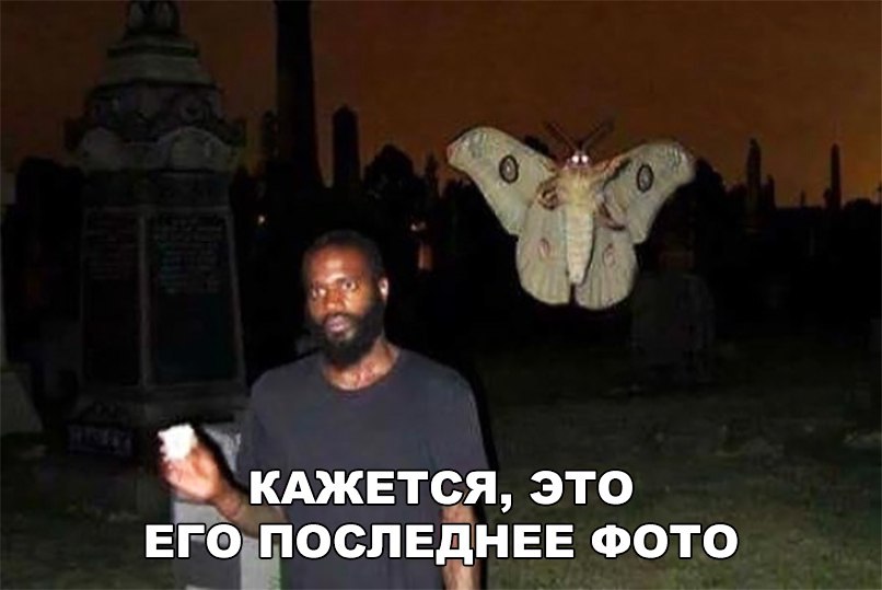 ХКАЖЕТСЯ ЭТО ЕГОнПОСЛЕЁНЕЕ ФОТО