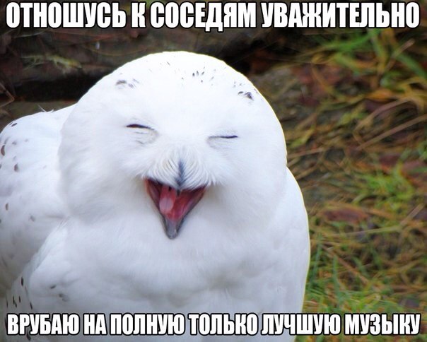 010ШУБЬ спешим УВАЖИТЕПЫЮ ВРУБПШЩ ЛУЧШУЮ МУЗЫКУ